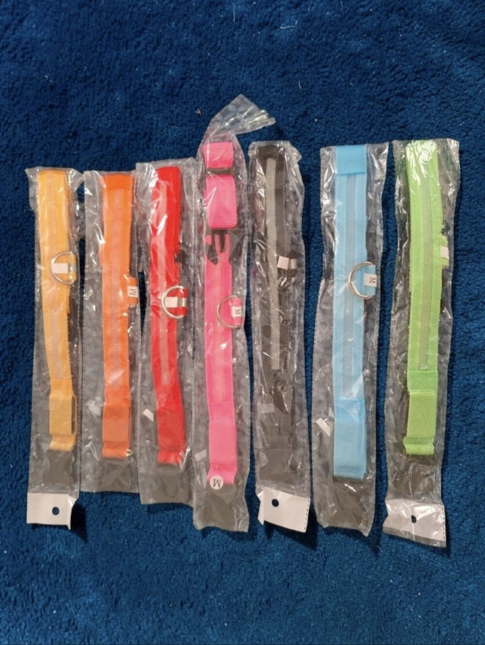 Dog LED Safety Collars - Multi Color Pack